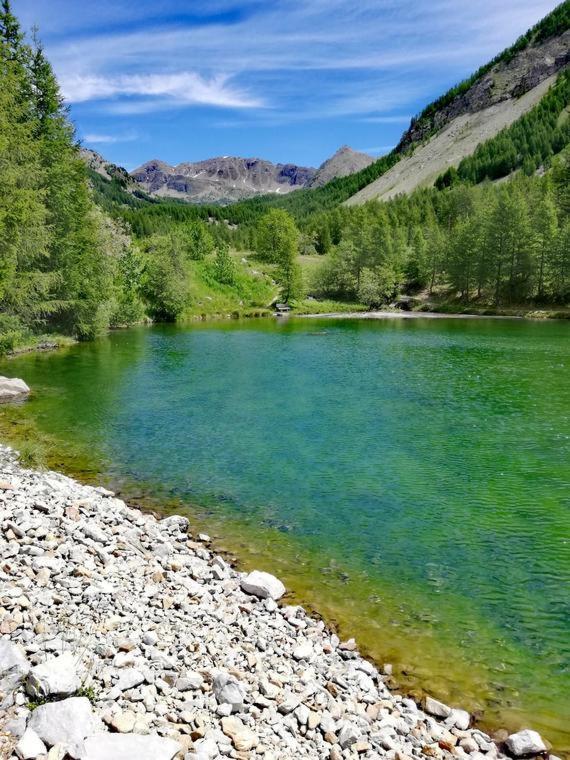 Chambre Aux Gorges De Daluis Guillaumes Kültér fotó